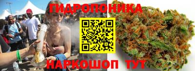 дурь Можга