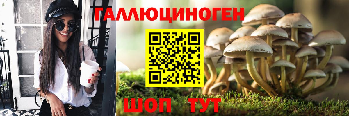 Галлюциногенные грибы Psilocybine cubensis Грязи